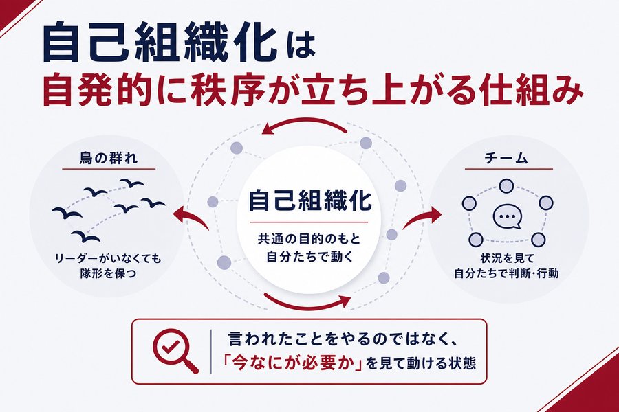 自己組織化は自発的に秩序が立ち上がる仕組み